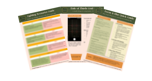 Bonus Sheets